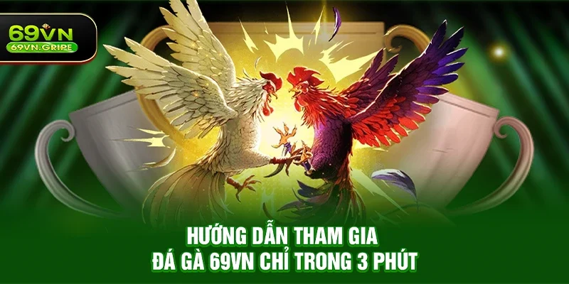 Hướng dẫn tham gia Đá gà 69VN chỉ trong 3 phút
